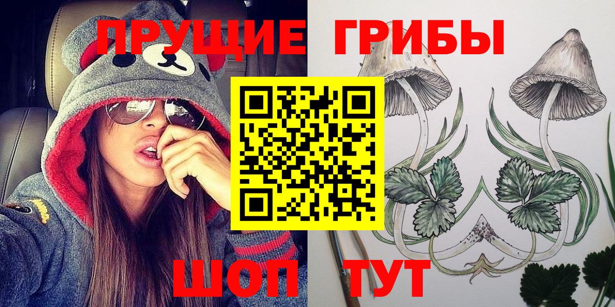 Галлюциногенные грибы мицелий  Вход с VPN  Волоколамск 